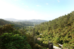 Looking down Stokes Valley from Ajahn Kusalos kuti.