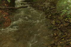 The valley stream after a heavy rain.