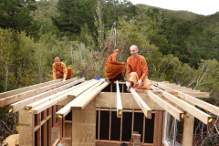 Roof framing is well underway.