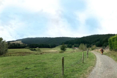 Tudong: East of Levin; into the forest.