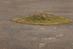 An island of life in the middle of the desert.