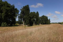 Fields and trees.