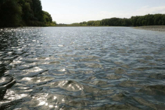 The river from a bathers perspective.