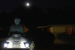 The moon is almost full.