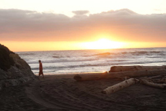 New Plymouth tudong: W