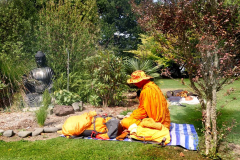 New Plymouth tudong: A