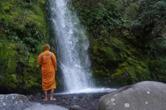 New Plymouth tudong: A