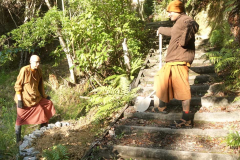 Venerables Appamado and Dhammavasa working on a memorial tree site.