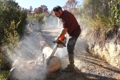 The sangha-hauled log-from-above being trimmed by Beat.