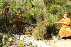 Ajahn Sudhiro leads the team in pulling a log down the hill to form a part of the track up to Ajahn Kusalos kuti.