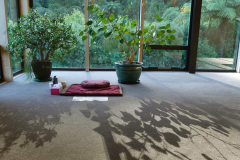 Our lustrous Bodhi tree shadowed across the carpet.