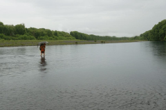 Tudong: The rain persists and the river is wet.