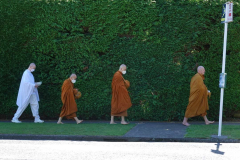 Not Abbey Road - but Stokes Valley Rd. on new years day pindapat.
