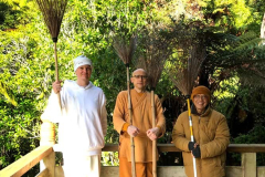 Four brooms for flying.