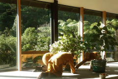 Rearranging our potted plants.