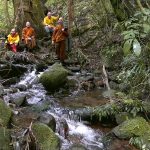A rest by the river at the foot of Mount Taranaki.