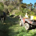 Some initial clearing at the stupa ready for the road realignment.