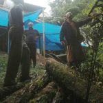 Bee: A few pongas are pulled from the forest to form a retaining wall for the earth patio.