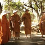 San Francisco - sun drenched forest monks.