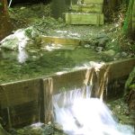 New steps down to the sauna pond. Clean clear and bright.