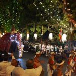 After a hotel nap I joined the crowd in the street to watch the perahera. Elephants lights drums and dancing flooded the senses.