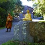 Venerable Kusalacitto heads down the valley on pindapat - our first for some time.