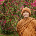 Ajahn Dta in Palmerston North.