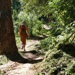 Going to visit a branch monastery.
