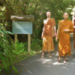 Venerables Kondanyo Kongrit and Phasuko walking through a delightfully dappled day from the Bhikkhu vihara to the dana sala.