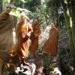Forest monks stand atop an ancient fallen rimu.