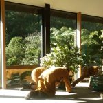 Rearranging our potted plants.