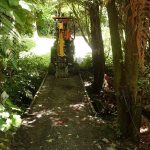 The digger just fits. Making its way to form the track up to Bruces new kuti.