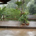 More rain.