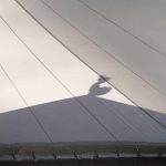 The new cloister canopy in the early morning sun. The sala roof-rooster casts a shadow.