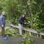 Paul and Kuntul trimming back the ever-encroaching forest.