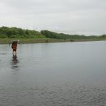 Tudong: The rain persists and the river is wet.