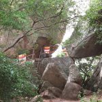 The cave (behind bushes. left) where Mahina stayed.