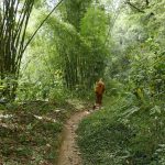 Thai tudong: Tan Khantiko knows where he is going.