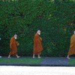 Not Abbey Road - but Stokes Valley Rd. on new years day pindapat.