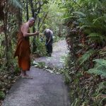 James on trimming with ajahn Jo on sweeping.