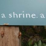Cicada larva took the trouble to climb up and read the sign before flying up to the stupa.