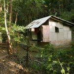 The kuti where I stayed.