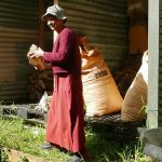 Shunyo stacking firewood.