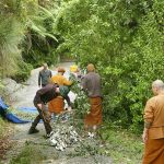 Vegetation trimmed from around the Chao Khun kuti is fed into the new mulcher.