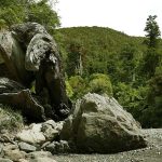 Kaitoke. Root rock and river.