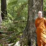 Venerable Thanavaro - a forest monk.