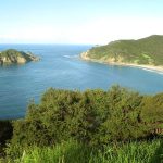 The coast track from Okiwi to Haratonga lead to many a grand view.