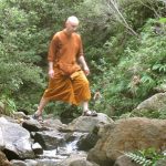 Ajahn Narado fords the stream.