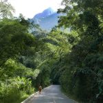 Still in the forest but on a major highway - at least we are going down hill.