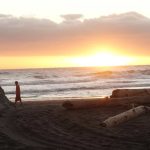 New Plymouth tudong: W